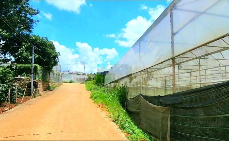 Bán đất sổ riêng cách mặt tiền đường chính 10m, đi chợ Đà Lạt 10p -01