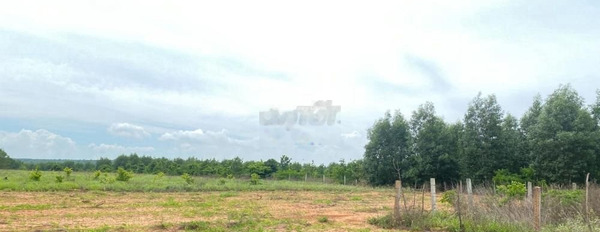 Vị trí đẹp tọa lạc trên Hàm Thuận Bắc, Bình Thuận bán đất giá bán chốt nhanh 1.33 tỷ diện tích quy đổi 8857m2-02