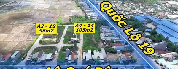 Cần bán đất thị xã An Nhơn, tỉnh Bình Định giá 200 triệu-03