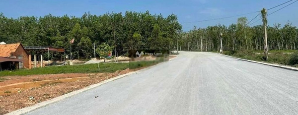 Long Giang, Tây Ninh bán đất giá cực rẻ từ 879 triệu diện tích chung là 200m2-03