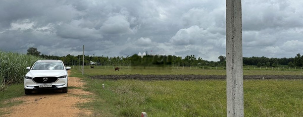 Bán 1 công đất vườn 1000m2, hết đất 289 triệu ở Tân Biên, Tây Ninh-02