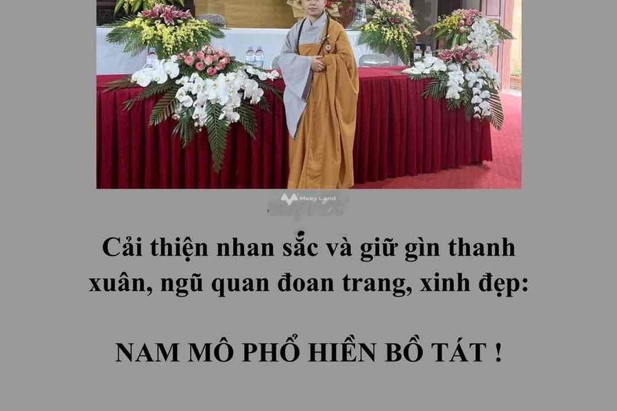 Mỹ Hạnh Nam, Đức Hòa bán đất giá siêu khủng chỉ 4.2 tỷ diện tích rộng là 297m2-01