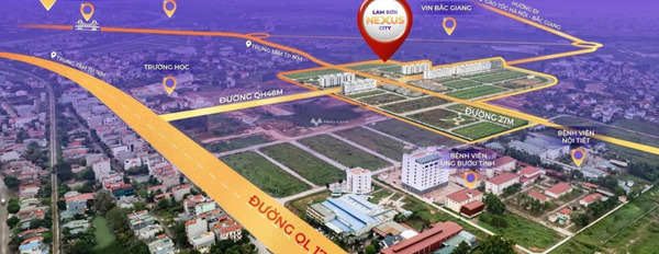 Chuyển định cư bán đất Tân Mỹ, Bắc Giang giá bán cơ bản từ 2.7 tỷ diện tích sàn là 90m2-02