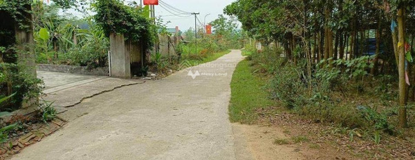 Bán đất vị trí đẹp tọa lạc ngay tại Quốc Lộ 21A, Hà Nam. Diện tích 100m2, giá 3 tỷ-03