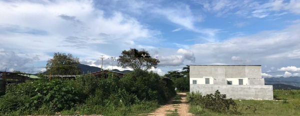 Bán 2 lô đất 6x20m ở Phú Lạc Tuy Phong gần trường tiểu học Phú Điền, giá chỉ 65 triệu 1 lô -02