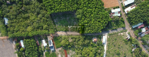 Đang cần rất nhiều tiền bán mảnh đất, 305m2 giá đặc biệt chỉ 399 triệu vị trí thuận lợi tọa lạc ngay trên Phú Riềng, Bình Phước vị trí trung tâm-02