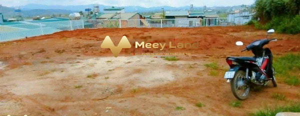 Vị trí đặt tọa lạc trên Bảo Lộc, Lâm Đồng bán đất, giá bán thương lượng 2,9 tỷ diện tích quy đổi 440 m2-02