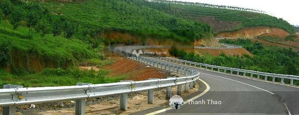 Khoảng từ 1.16 tỷ bán đất diện tích tổng là 2241m2 vị trí thuận lợi ngay Lộc Tân, Bảo Lâm, hướng Đông - Bắc-03
