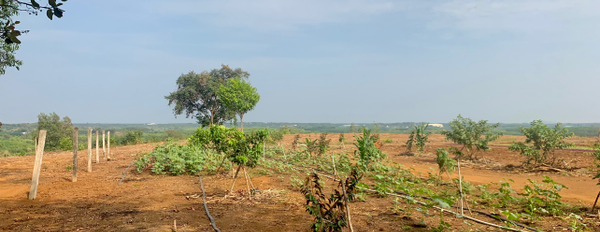 Đất Sạch - Pháp lý rõ ràng - Đất hồng ONT - Thanh khoản cao-03