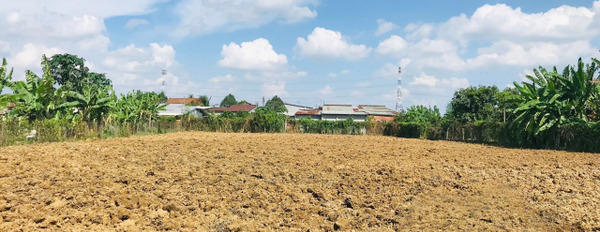 Bán đất mặt tiền đường Hương lộ 9, Vĩnh Cửu, 2128m2, chỉ 9,5 tỷ-03
