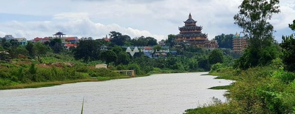 Nợ bán 12.000m2 đất View Sông Đa Nhim làng chùa Thiện Chí,Ninh Gia,Đức Trọng,12.8 tỷ cảm ơn đã xem tin-02