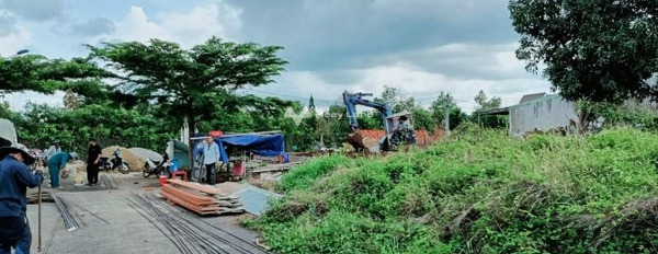 Cần xoay sở tiền bán mảnh đất, 110m2 giá bán đặc biệt 1 tỷ vị trí đẹp tọa lạc tại Hưng Lộc, Đồng Nai, đường lưu thông rộng 6 m giá tốt nhất-02