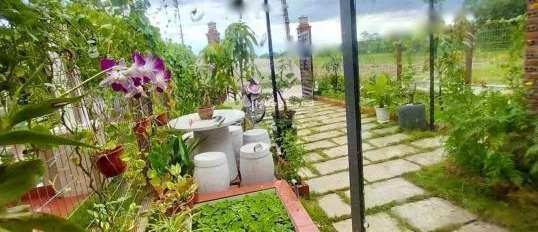 Bán nhà bán ngay với giá cực rẻ 790 triệu có diện tích chính 126m2 vị trí thuận lợi nằm ở Gò Công, Tiền Giang-02