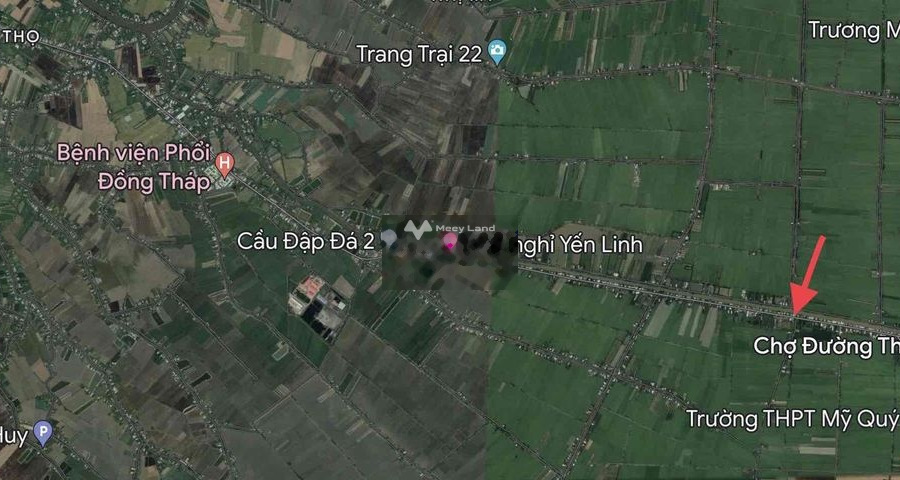 Bán nhà tại Hồ Chí Minh, Mỹ Quý, diện tích 114m2-01