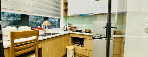 Cho thuê căn hộ, vị trí nằm ngay Sở Dầu, Hồng Bàng giá thuê hiện tại 45 triệu/tháng diện tích trong khoảng 112m2-02
