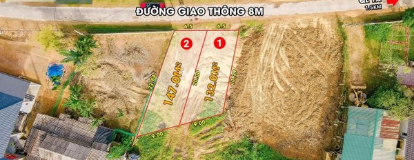 Giá bán chốt nhanh 570 triệu bán đất với diện tích là 132m2 vị trí thuận lợi ngay tại Quốc Lộ 1A, Quảng Trị, hướng Tây Bắc-03