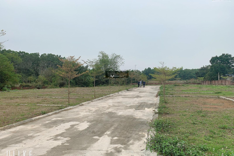 Bán đất 800 triệu Bình Yên, Thạch Thất có diện tích tổng là 80m2-01