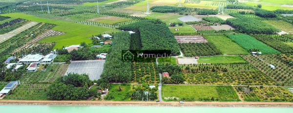 499 triệu bán đất diện tích khoảng 185m2 vị trí nằm ngay Gò Dầu, Tây Ninh-02