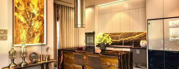 Bán gấp penthouse Dreamland Bonanza Duy Tân siêu hiếm, đẳng cấp thượng lưu, chủ nhà thiện chí -03