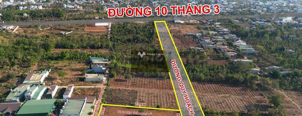 Cần ra đi gấp bán đất Cư Êbur, Buôn Ma Thuột giá bán liền từ 6.5 tỷ diện tích chuẩn 1500m2-03