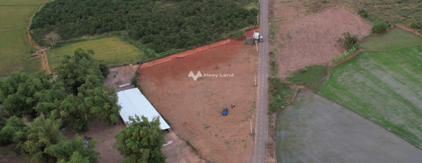 Bán mảnh đất, giá đề xuất từ 730 triệu diện tích tiêu chuẩn 260m2-03