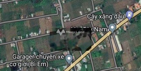 Ngay Thanh Phú Long, Long An bán đất 500 triệu với diện tích là 250m2-03
