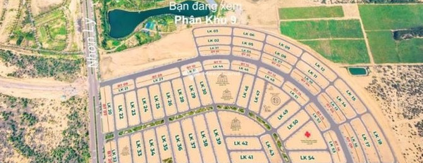 Quốc Lộ 19B, Bình Định 1.48 tỷ bán đất diện tích vừa phải 100m2-02