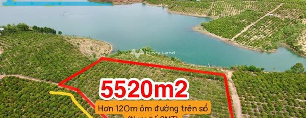 Đang cần rất nhiều tiền bán đất Đắk Hà, Kon Tum giá cực rẻ 869 triệu diện tích thực như trên hình 5520m2-02