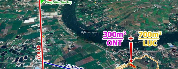 Nằm ngay bên trong Trần Văn Soi, Long An bán đất, giá chỉ 1.6 tỷ có diện tích chung 1000m2-03