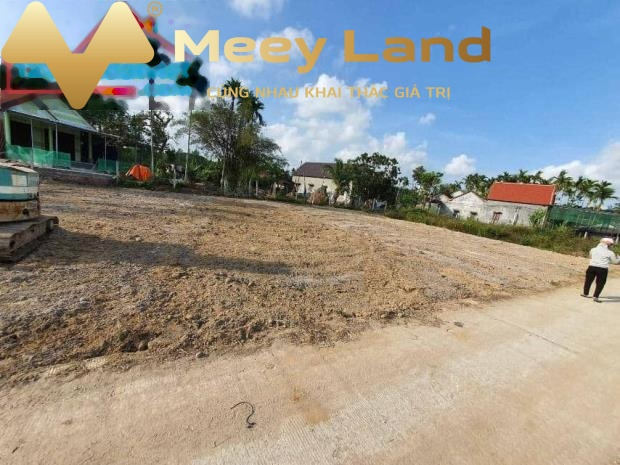 Giá siêu mềm từ 270 triệu bán đất dt chuẩn 135 m2 vị trí thuận lợi nằm tại Tịnh Thọ, Quảng Ngãi, hướng Nam-01