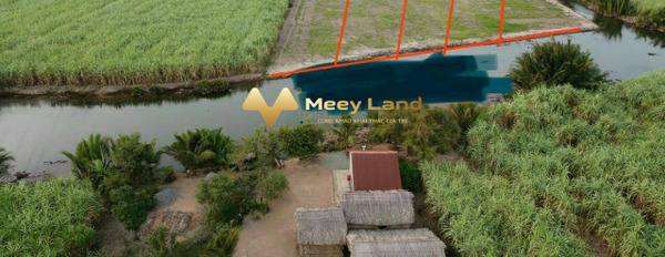 Bán đất 870 triệu Đường Phước Khánh, Xã Phước Khánh diện tích mặt tiền 1000 m2-02