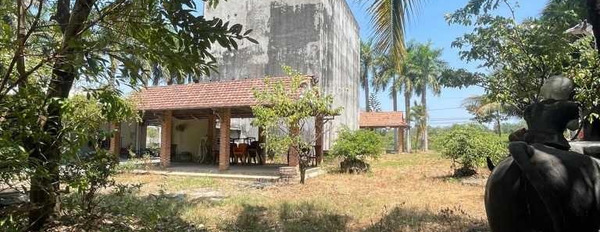 Nhà mặt tiền đường Long Phước -15 triệu/m2- 4000m2-thích hợp xây villa sân vườn giá rẻ 5x tỷ còn TL -03