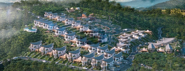 Giá sang tên chỉ 1.3 tỷ bán đất có một diện tích 200m2 vị trí đẹp ở Quốc Lộ 20, Lâm Đồng-02