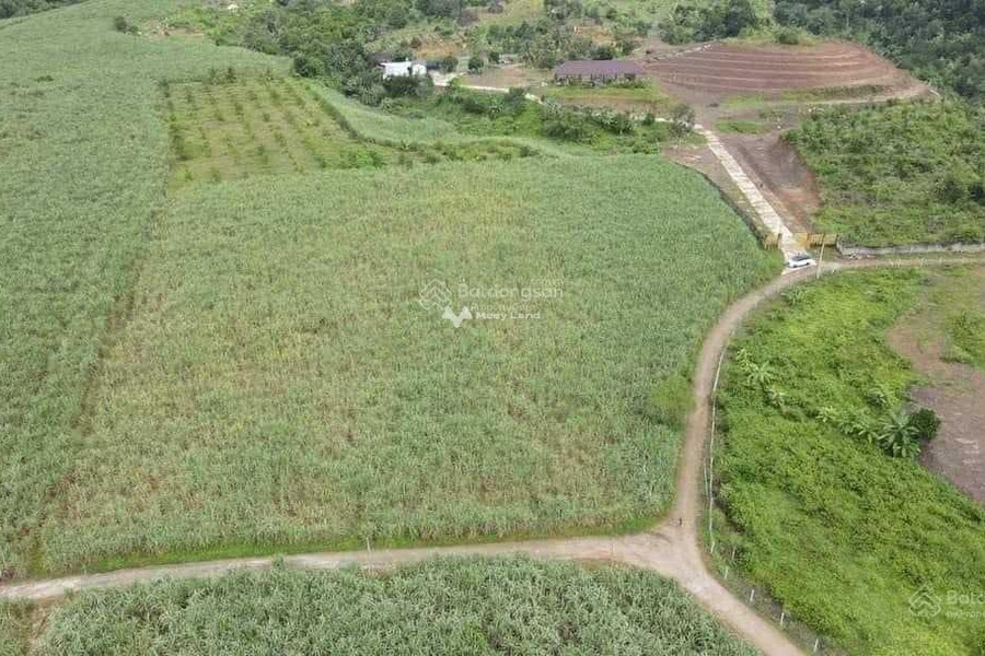 Ngay Khánh Vĩnh, Khánh Hòa bán đất 3 tỷ có diện tích là 22000m2-01