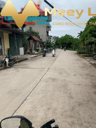 Cần bán đất Thanh Trì, Hà Nội diện tích 43m2-01