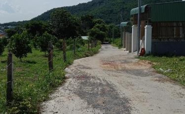 Tại Xã Phước Hưng, Huyện Long Điền bán đất 300 triệu có diện tích trung bình 100 m2-03