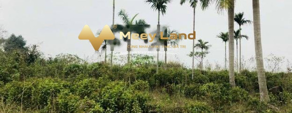 Cần chia tài sản bán đất Lương Sơn, Hòa Bình có dt gồm 2150 m2-02