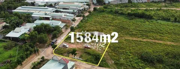 Giá 20 tỷ bán đất có diện tích sàn 5841m2 vị trí đặt vị trí nằm ở Tân Phước Khánh 54, Bình Dương-03