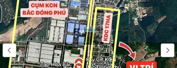 Giá bán bất ngờ từ 290 triệu bán đất diện tích rộng 300m2 mặt tiền tọa lạc ngay Tân Phú, Đồng Phú-03