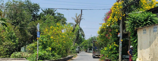 Bán đất 1/ đường Vườn Lài nối dài giá 55 tỷ diện tích 2222m2 -02