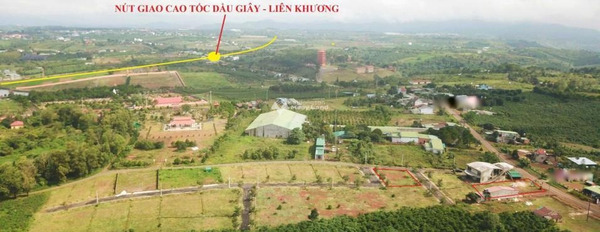 Lý Thái Tổ, Lâm Đồng bán đất giá bán phải chăng từ 3.48 tỷ có diện tích sàn 435m2-03