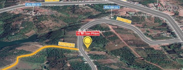 Đắk R'Lấp, Đắk Nông bán đất giá bán siêu khủng 1.15 tỷ, hướng Đông Nam toàn bộ khu vực có diện tích 517m2-02