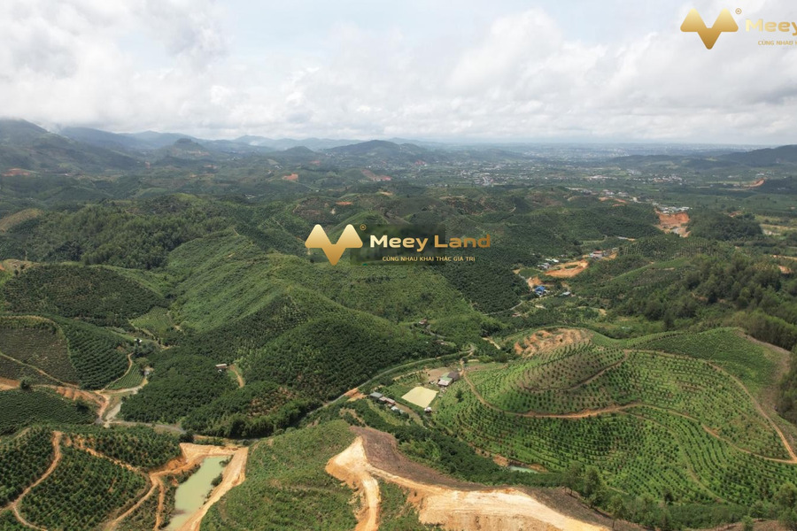 Nằm tại Đường 20, Đại Lào bán đất 12 tỷ Diện tích nền 24000 m2-01