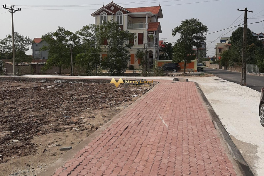 Bán đất diện tích thực khoảng 60 m2 vị trí tốt ở Văn Giang, Hưng Yên-01