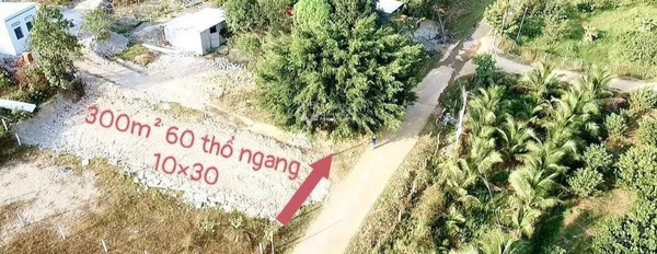 Gia đình khó khăn bán mảnh đất, 300m2 giá khoảng 500 triệu vị trí mặt tiền tọa lạc ở Khánh Phú, Khánh Vĩnh vị trí đắc địa-02