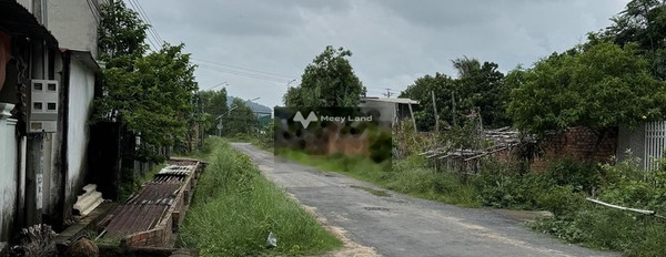 Cần bán đất nông nghiệp 727 m2, giá 4,5 tỷ, Tỉnh Bình Thuận -03