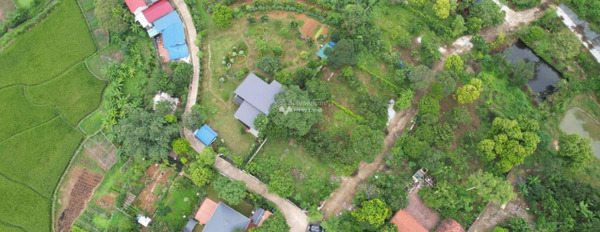 Bán đất giá 29 tỷ, diện tích 8m2 vị trí tiện lợi ngay tại Thạch Thất, Hà Nội-03