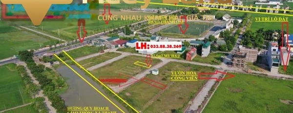 CỰC HIẾMLô mặt đường bệnh viện huyện Thanh Oai, My Hạ - Thanh Mai, 2,6 tỷ bãi đậu xe rộng-02