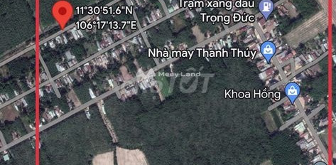 Bán đất 350 triệu Tân Thành, Tân Châu diện tích thực tế 240m2-03