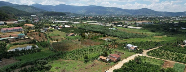 Giá mềm 800 triệu bán đất có diện tích khoảng 550m2 vị trí mặt tiền ngay ở Lâm Hà, Lâm Đồng-02